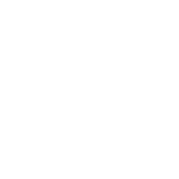 audit (1)